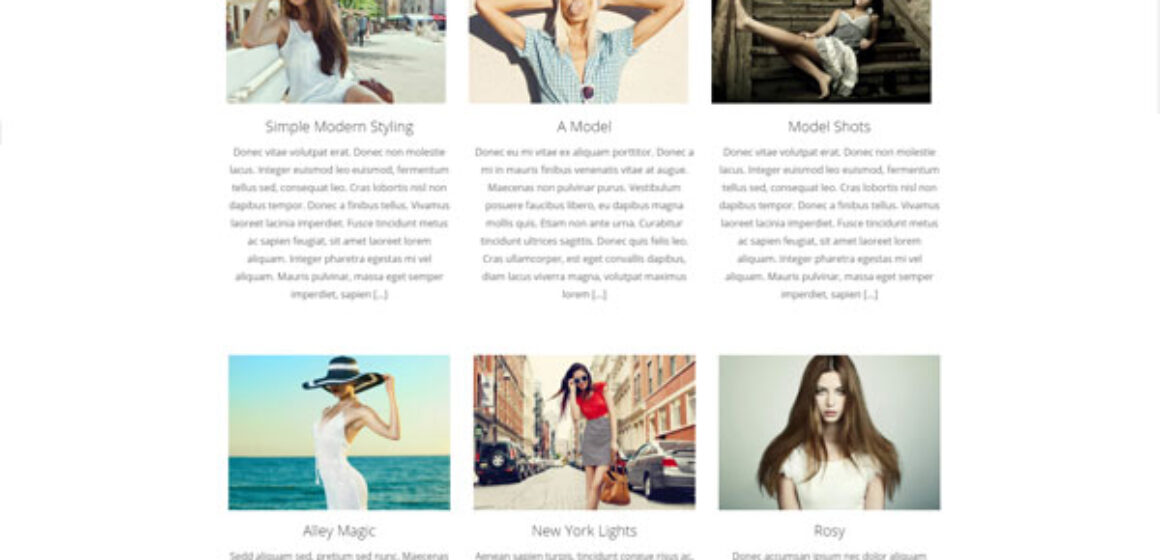 Agency – Portfolio