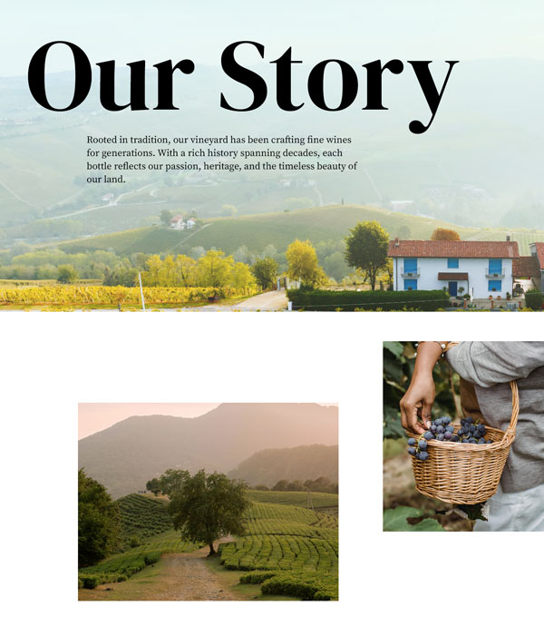 wine-about wine-about