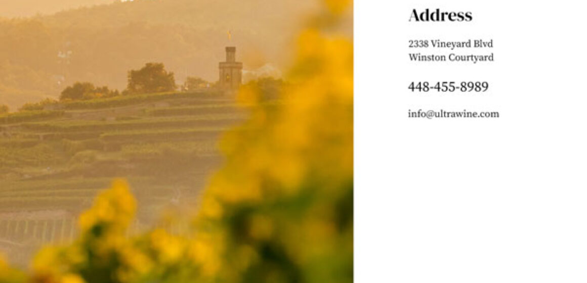 Wine – Contact